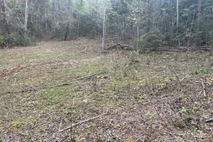 65 Cunningham Rd, Bryson City, NC 28713 - Photo 36