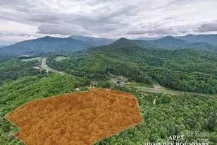 65 Cunningham Rd, Bryson City, NC 28713 - Photo 2