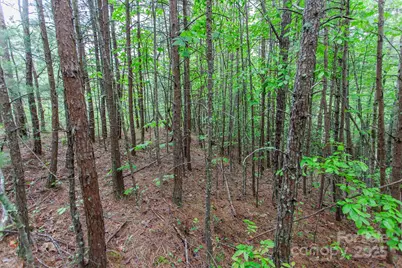 65 Cunningham Road, Bryson City, NC 28713 - Photo 18