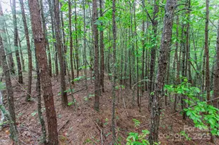 65 Cunningham Rd, Bryson City, NC 28713 - Photo 18