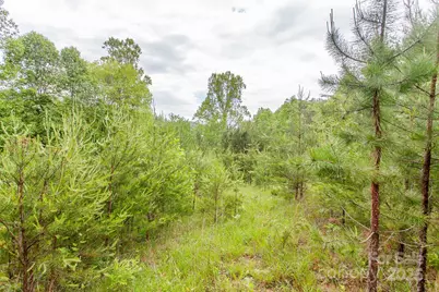 65 Cunningham Road, Bryson City, NC 28713 - Photo 20