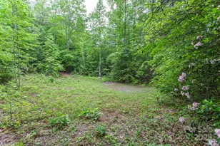 65 Cunningham Rd, Bryson City, NC 28713 - Photo 26