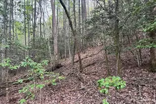 65 Cunningham Rd, Bryson City, NC 28713 - Photo 38