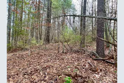 3.16 Acres Lot 77, 1712 Round Mountain Parkway #77, Lenoir, NC 28645 - Photo 10