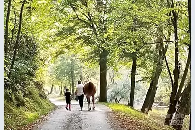 3.16 Acres Lot 77, 1712 Round Mountain Parkway #77, Lenoir, NC 28645 - Photo 40