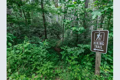52 Trail Top Drive, Asheville, NC 28805 - Photo 18