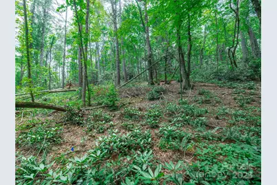 52 Trail Top Drive, Asheville, NC 28805 - Photo 12