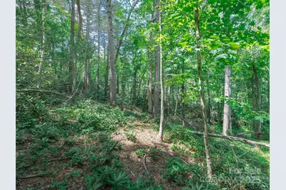 52 Trail Top Drive, Asheville, NC 28805 - Photo 22