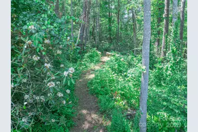 52 Trail Top Drive, Asheville, NC 28805 - Photo 32