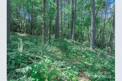 52 Trail Top Drive, Asheville, NC 28805 - Photo 28