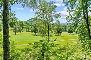 386 Country Club Dr, Canton, NC 28716 - Photo 34