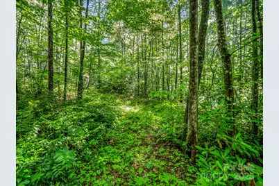 Tbd Climbing Road, Hendersonville, NC 28792 - Photo 8
