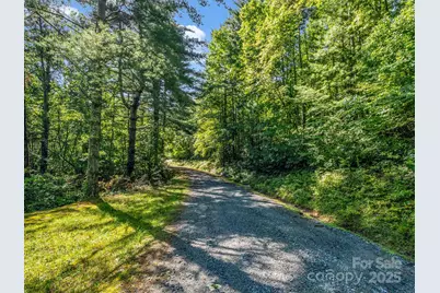 Tbd Climbing Road, Hendersonville, NC 28792 - Photo 6