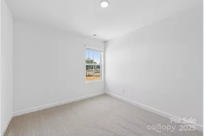 214 Tiger Lily Drive, Fort Mill, SC 29708 - Photo 12