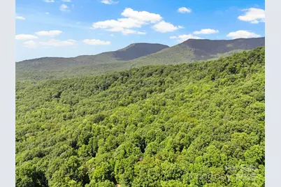 56 Cardinal Circle, Tryon, NC 28782 - Photo 34