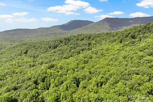 56 Cardinal Cir, Tryon, NC 28782 - Photo 34