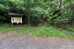 125 Heartland Ln, Burnsville, NC 28714 - Photo 40