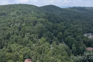 104 Britton Ave, Hendersonville, NC 28791 - Photo 44