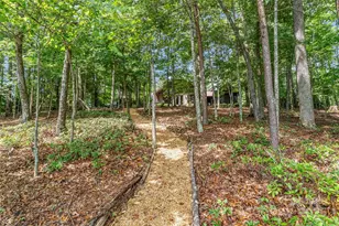 429 Turtle Head Dr, Nebo, NC 28761 - Photo 38