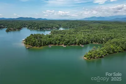 429 Turtle Head Drive, Nebo, NC 28761 - Photo 44