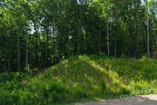 0 Honey Tree Ln, Kannapolis, NC 28027 - Photo 4