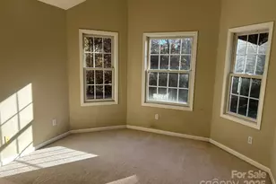 207 Wagon Ln, Rutherfordton, NC 28139 - Photo 30