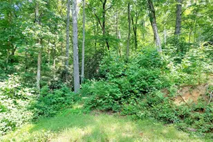 93 Badger Run, Hendersonville, NC 28739 - Photo 26