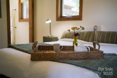 13 New Home Road, Marshall, NC 28753 - Photo 24