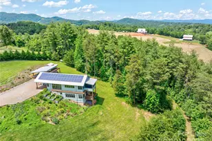 13 New Home Rd, Marshall, NC 28753 - Photo 48