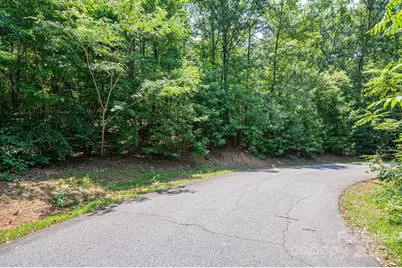 Lot #38 Moss Drive, Rutherfordton, NC 28139 - Photo 8