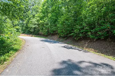 Lot #38 Moss Drive, Rutherfordton, NC 28139 - Photo 10