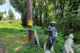 160 Cleveland Rd, Tryon, NC 28782 - Photo 40