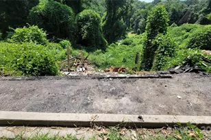 160 Cleveland Rd, Tryon, NC 28782 - Photo 32