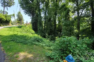 160 Cleveland Rd, Tryon, NC 28782 - Photo 16