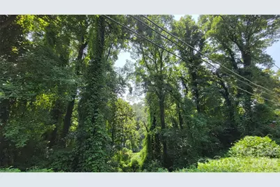 160 Cleveland Road, Tryon, NC 28782 - Photo 34