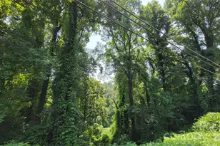 160 Cleveland Rd, Tryon, NC 28782 - Photo 34