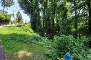 160 Cleveland Rd, Tryon, NC 28782 - Photo 18