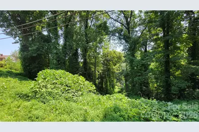 160 Cleveland Road, Tryon, NC 28782 - Photo 36