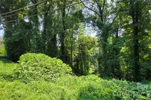 160 Cleveland Rd, Tryon, NC 28782 - Photo 36