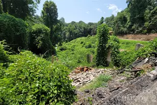 160 Cleveland Rd, Tryon, NC 28782 - Photo 28