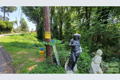 160 Cleveland Road, Tryon, NC 28782 - Photo 38