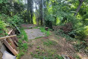 160 Cleveland Rd, Tryon, NC 28782 - Photo 20