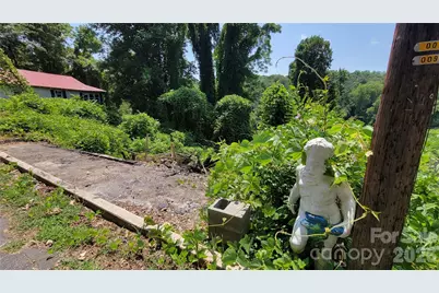 160 Cleveland Road, Tryon, NC 28782 - Photo 26