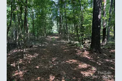 00 Hoke Road, Heath Springs, SC 29058 - Photo 10
