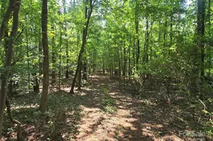 00 Hoke Rd, Heath Springs, SC 29058 - Photo 1