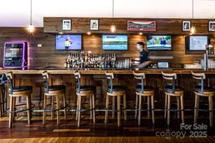 141 Courtland Ct, Lake Lure, NC 28746 - Photo 46