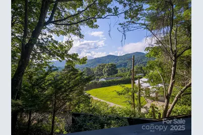 410 Mother in Law Lane, Burnsville, NC 28714 - Photo 24