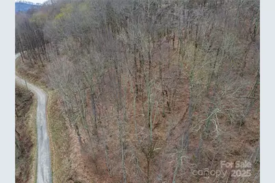 Lot 150 Puncheon Lane, Mars Hill, NC 28754 - Photo 2