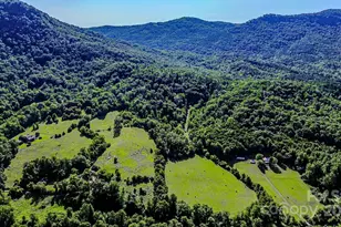 2416 Cane Creek Rd, Rutherfordton, NC 28139 - Photo 40