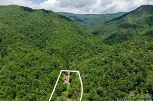 1037 Newberry Creek Rd, Old Fort, NC 28762 - Photo 42